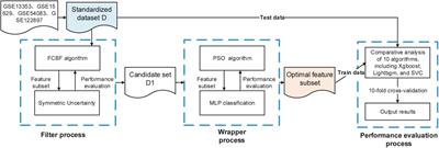 A two-stage hybrid gene selection algorithm combined with machine learning models to predict the rupture status in intracranial aneurysms